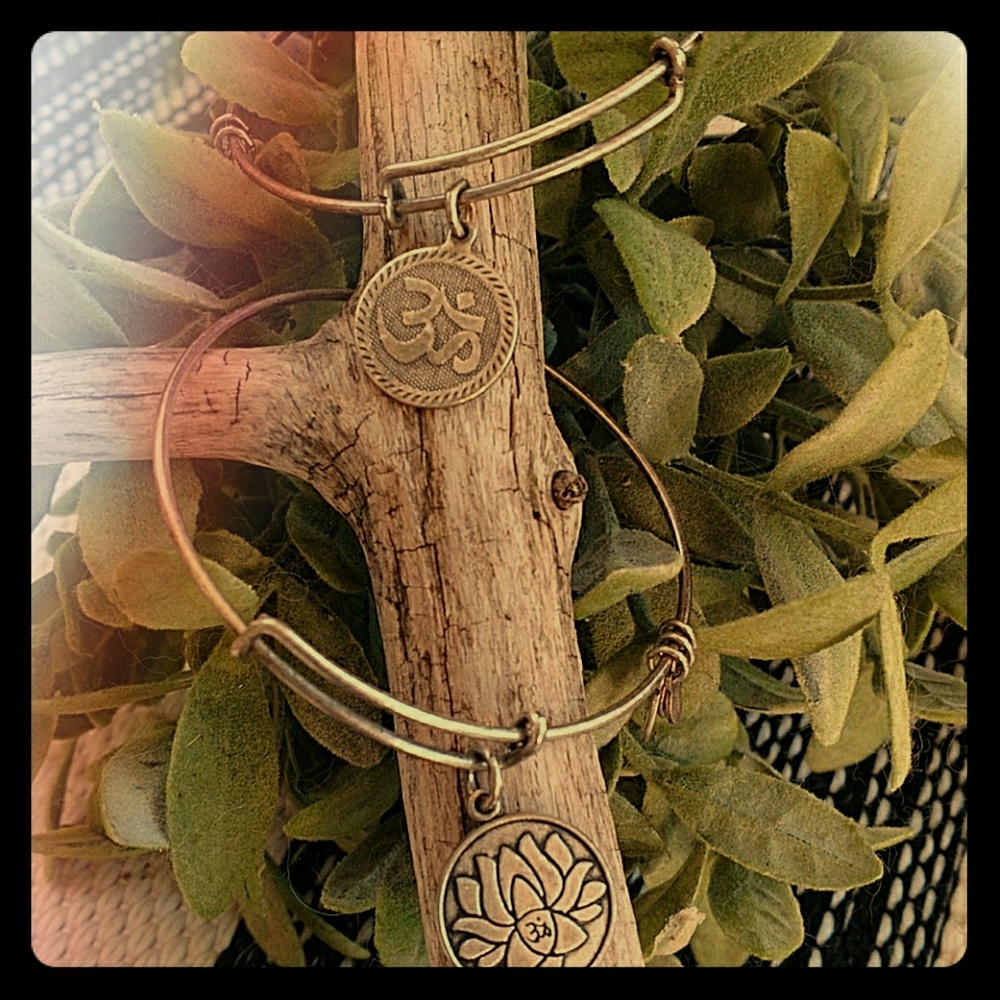 Classic Alex & Ani Bangle